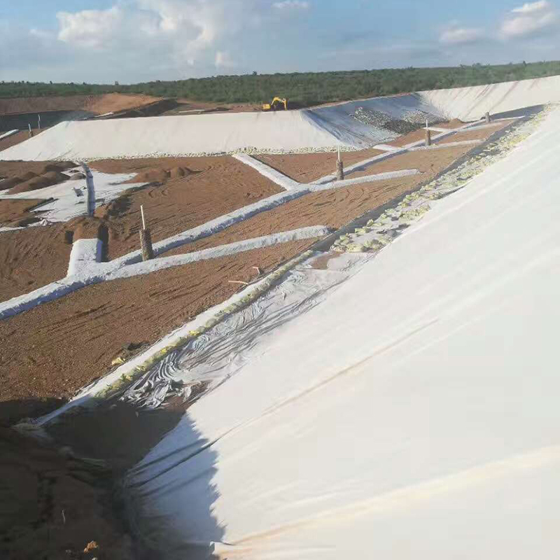 土体含水率对国内精品久久久久久久影视麻豆布的影响有多大？