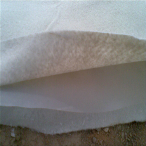 复合国内精品久久久久久久影视麻豆膜要求垂直于渠道轴线通幅铺设