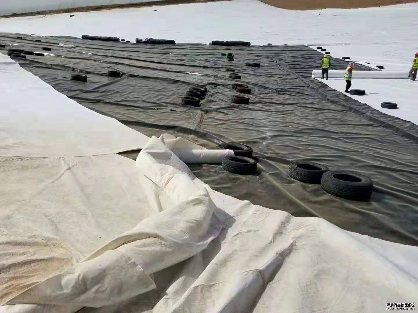 为什么国内精品久久久久久久影视麻豆布能成为工程中重要的排渗材料？