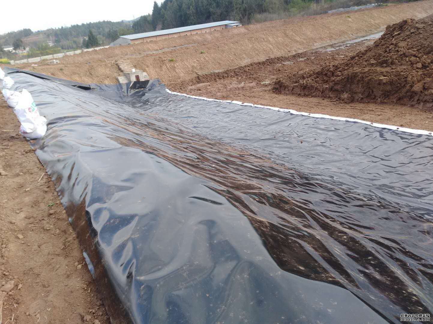 导致国内精品久久久久久久影视麻豆膜接缝处表面不平整的原因及解决