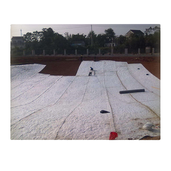 无纺国内精品久久久久久久影视麻豆布粘结在橡胶沥青工艺特点