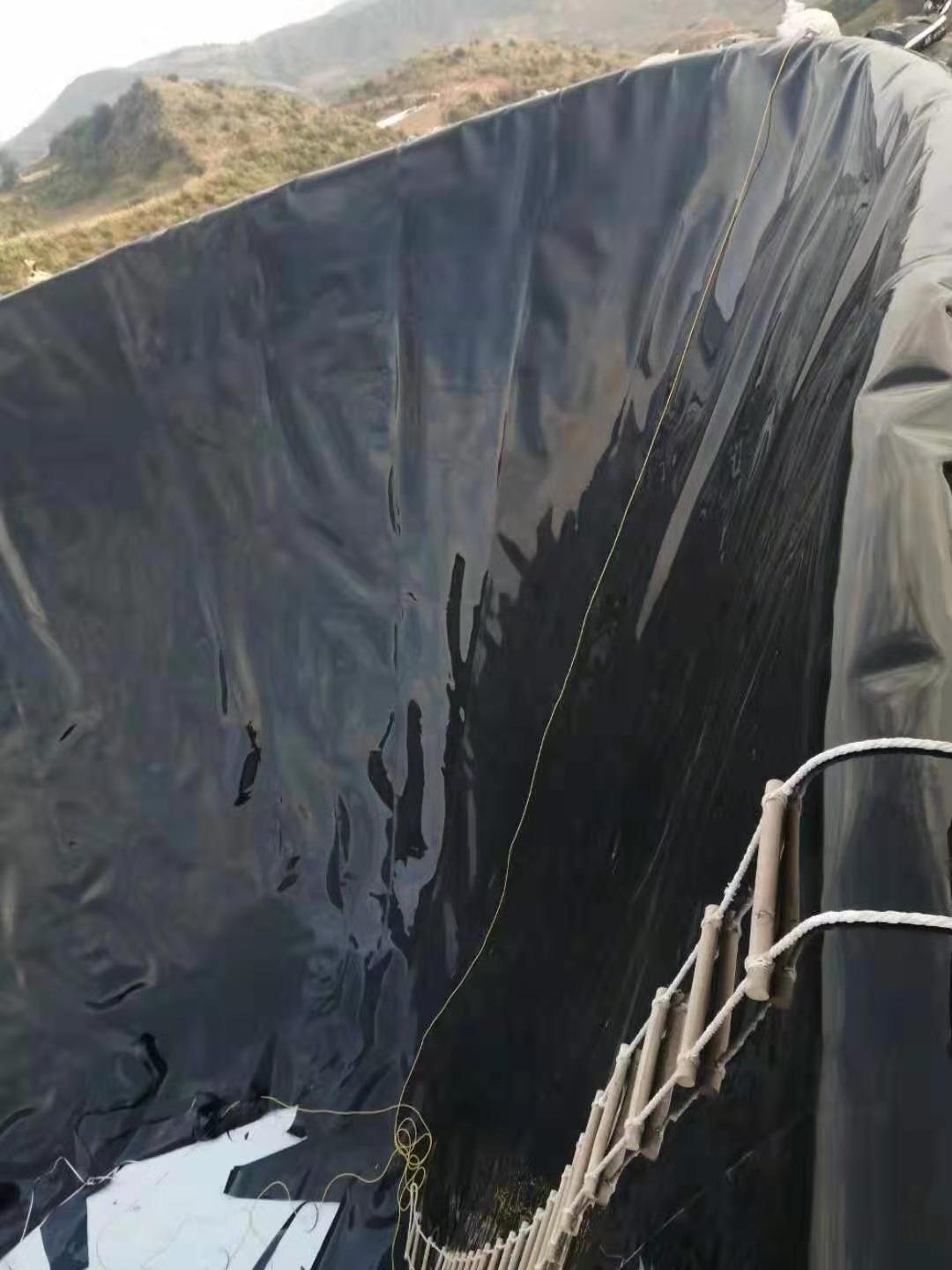 PE国内精品久久久久久久影视麻豆膜现场快速技术的开发