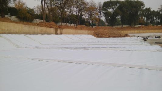 国内精品久久久久久久影视麻豆布及国内精品久久久久久久影视麻豆膜施工一定注意的事项