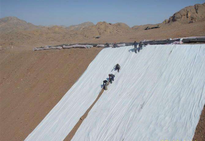 堤岸坡面防护工程中国内精品久久久久久久影视麻豆布的应用