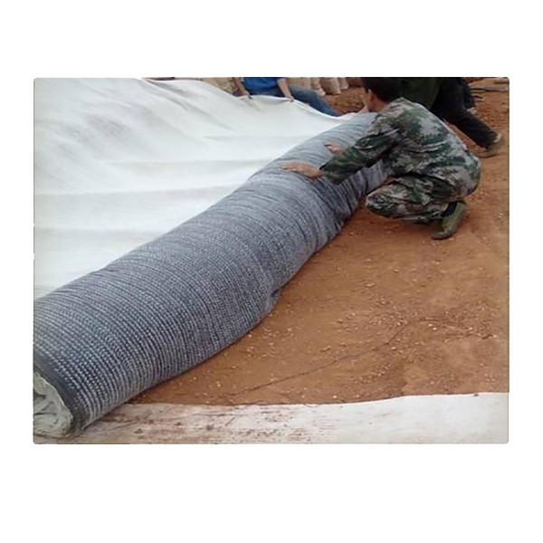 麻豆视频APP在线下载创新技术对生态环境的作用