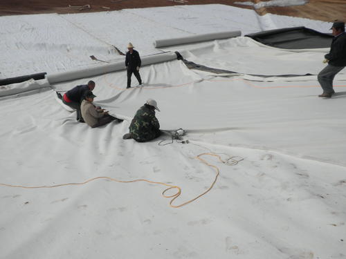 复合国内精品久久久久久久影视麻豆膜“特殊部位拼接试验”结论