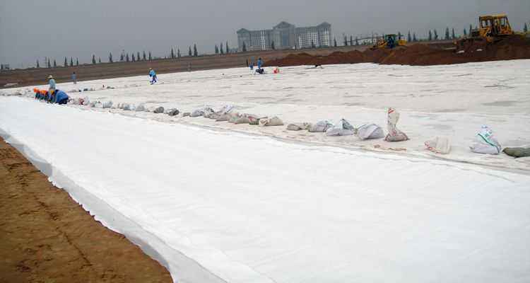 复合国内精品久久久久久久影视麻豆膜可有效截断内水外渗渗漏通道