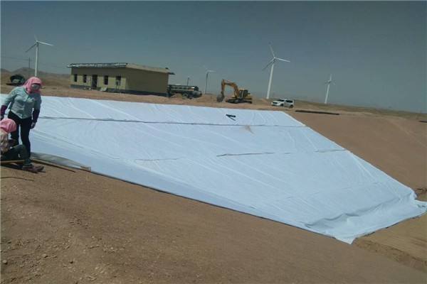 国内精品久久久久久久影视麻豆合成材料在航道整治服务区锚地工程中的应用