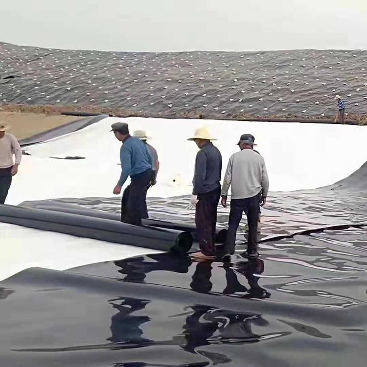 如何根据防渗渠道的自然环境条件选择防渗国内精品久久久久久久影视麻豆膜？