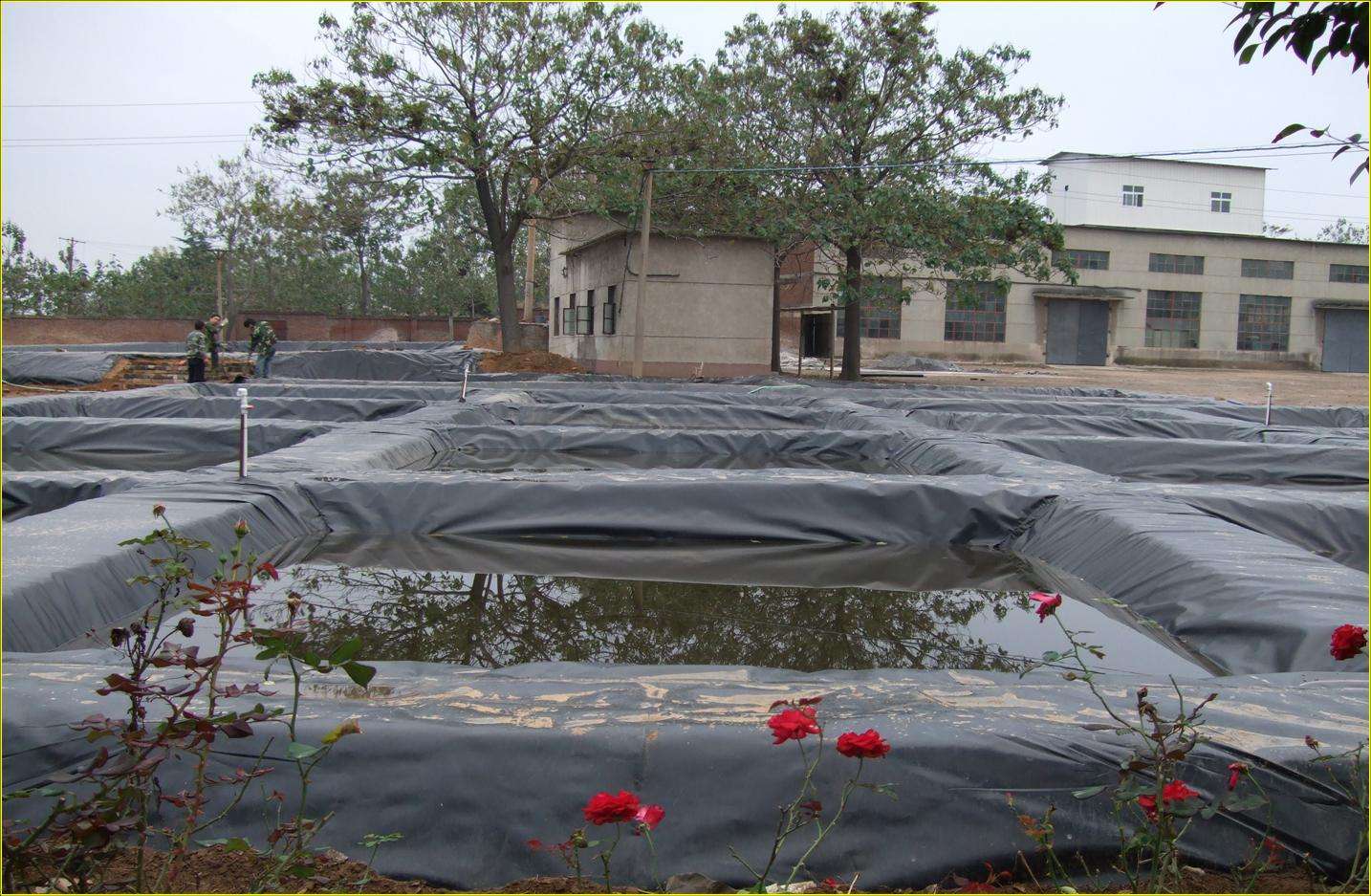 蓄水池蓄水后国内精品久久久久久久影视麻豆膜破坏的主要原因