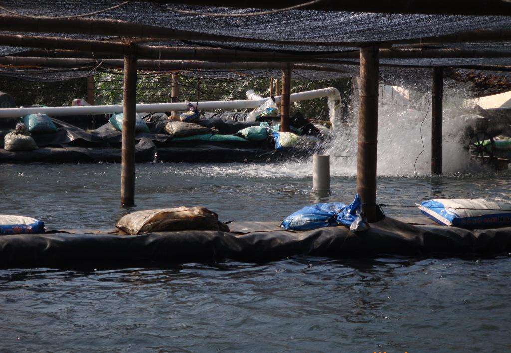 HDPE国内精品久久久久久久影视麻豆膜施工质量控制关键点