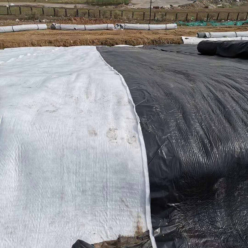 蒸发塘国内精品久久久久久久影视麻豆膜技术性能指标参数具体是多少？