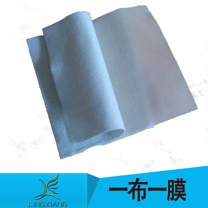 复合国内精品久久久久久久影视麻豆膜应用年限的耐久性问题