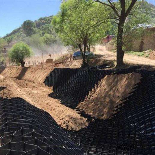 国内精品久久久久久久影视麻豆格室