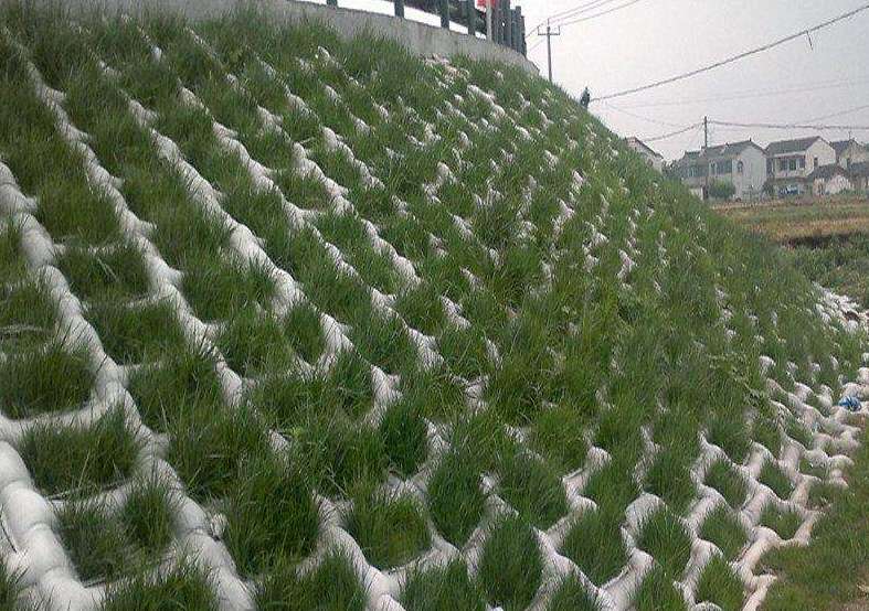 国内精品久久久久久久影视麻豆模袋