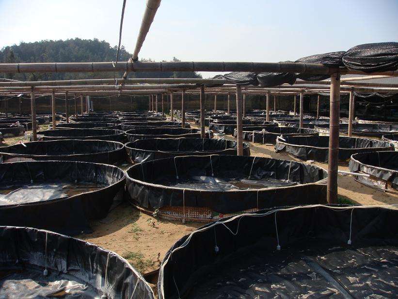 请参考石油储罐基础设施国内精品久久久久久久影视麻豆膜施工方法