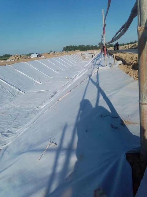 河道治理采用国内精品久久久久久久影视麻豆布施工工艺的原因分析