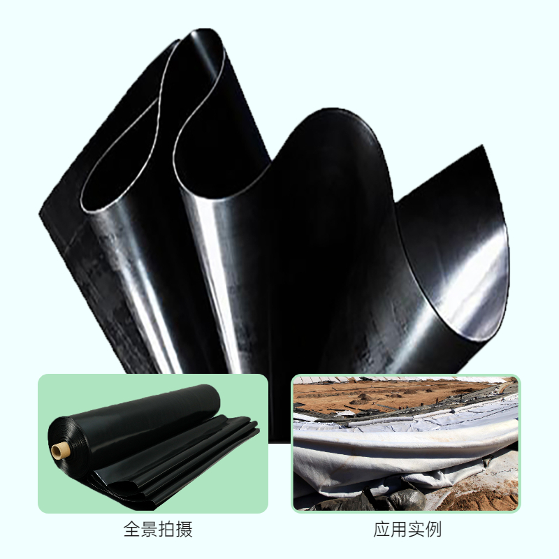 蓄水国内精品久久久久久久影视麻豆膜