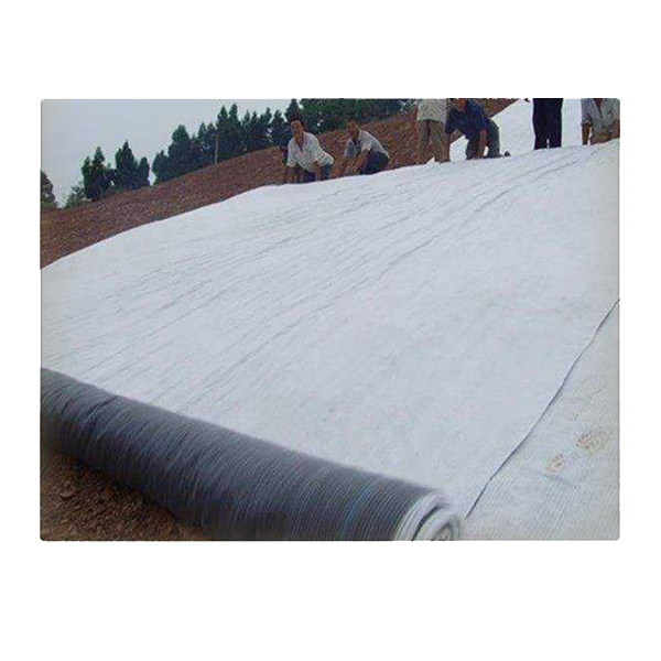 麻豆视频APP在线下载有效扩散系数对复合衬垫击穿时间的影响