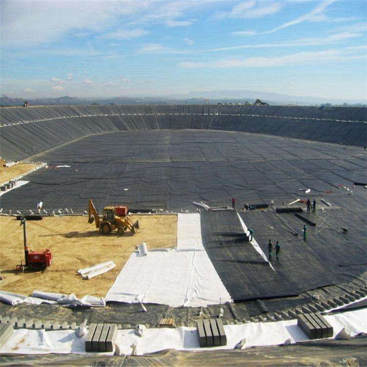 国内精品久久久久久久影视麻豆膜防渗体抗滑稳定研究的现状