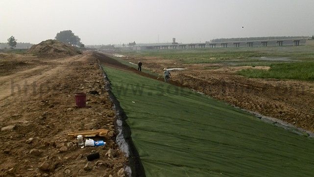 你知道城市绿化的草坪是如何一天内生长的吗？