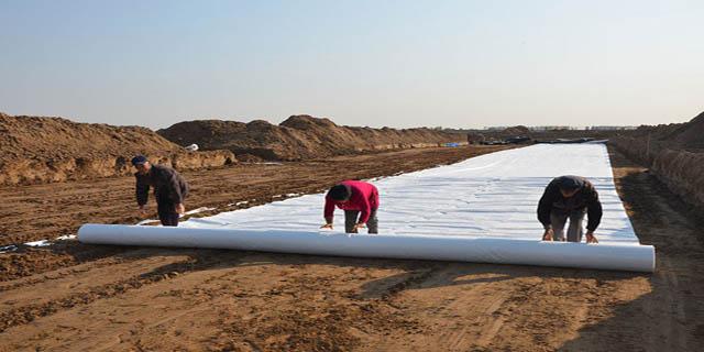 原材料涨价成品国内精品久久久久久久影视麻豆膜国内精品久久久久久久影视麻豆布价格如何呢？