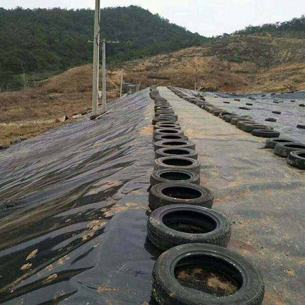 环保领域对国内精品久久久久久久影视麻豆合成材料的关注点是什么？