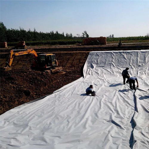 HDPE国内精品久久久久久久影视麻豆膜能够在恶劣地质条件下使用