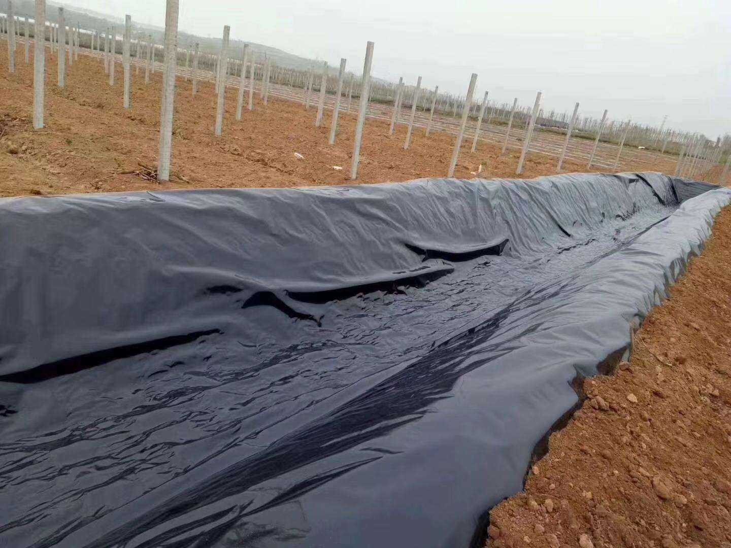 国内精品久久久久久久影视麻豆膜常用于垃圾填埋场、水库等，其渗透性能极其重要