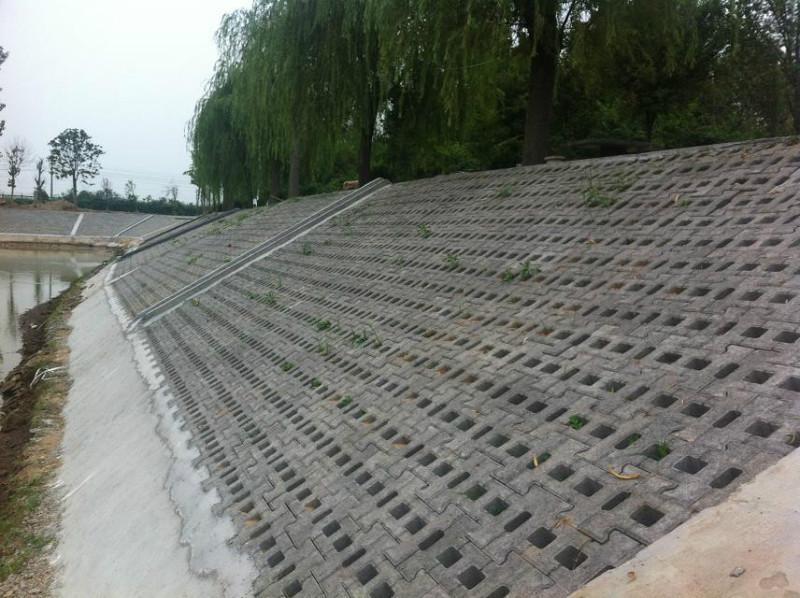 3种常见的坡式护岸技术分别是什么类型？