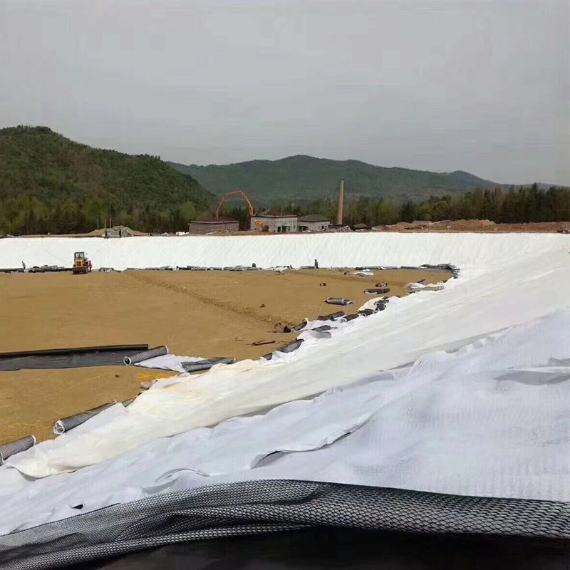 设计容积50万m3的调蓄水池防渗体采用方式？