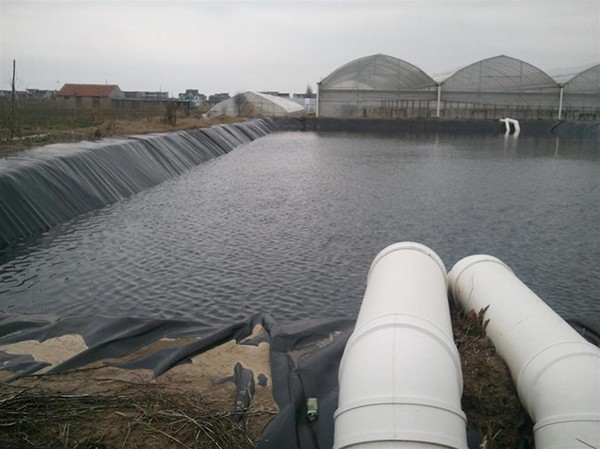 地下水位常年高于铺膜高程正常设，低于铺膜高程不设