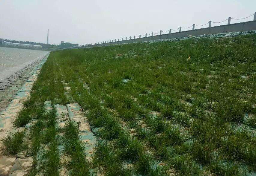 常用的海岛边坡修复技术有哪些？如何修复海岛边坡？