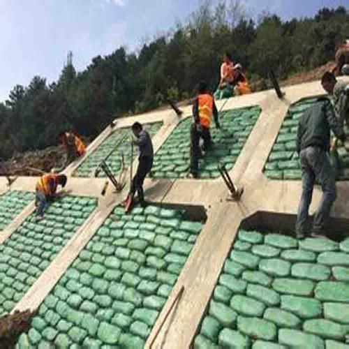 常用的海岛边坡修复技术有哪些？如何修复海岛边坡？