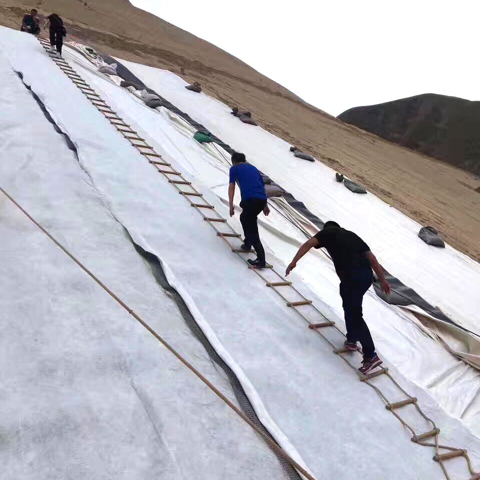 国内精品久久久久久久影视麻豆合成材料在大坝工程中的应用及注意事项