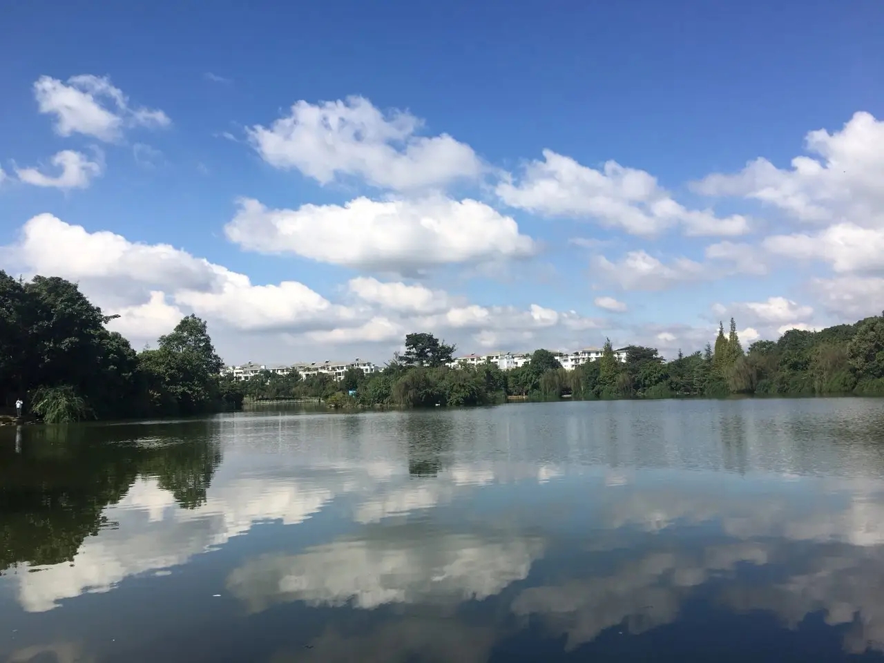 1.webp.jpg 1.webp.jpg